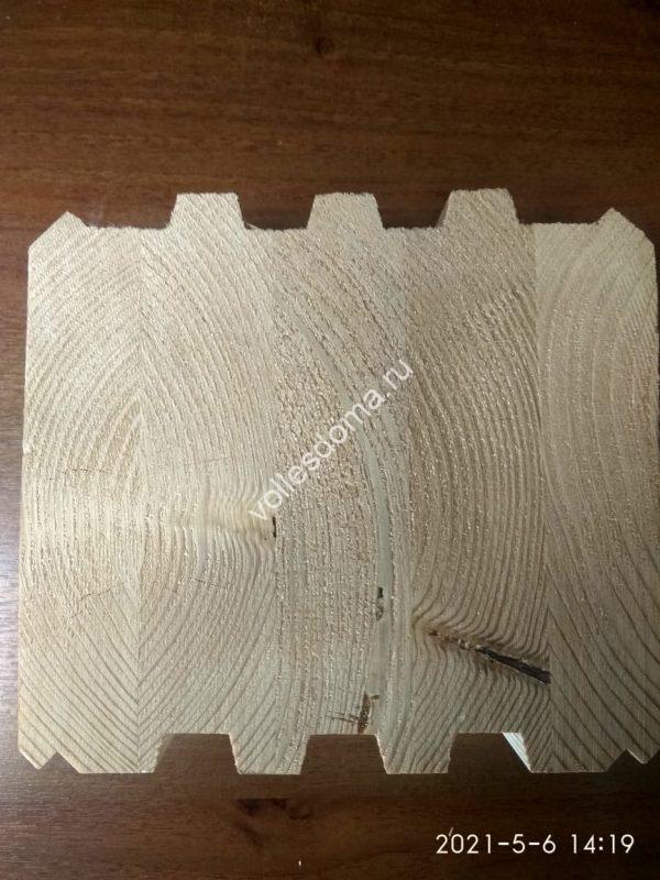 foto-standartnogo-kleenogo-brusa